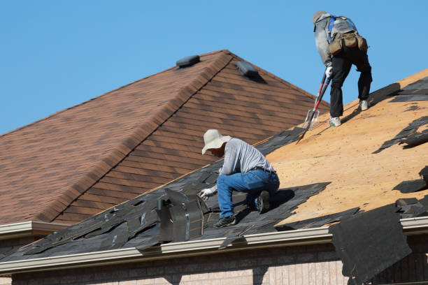 Best Tile Roofing Installation  in Platte, SD