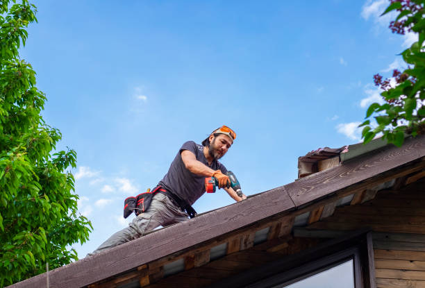 Best Chimney Flashing Repair  in Platte, SD