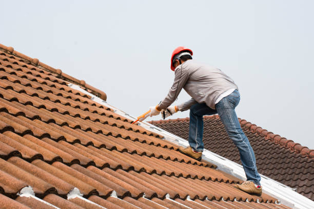 Best Gutter Installation and Repair  in Platte, SD