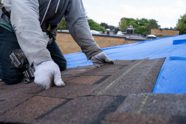 Fast & Reliable Emergency Roof Repairs in Platte, SD