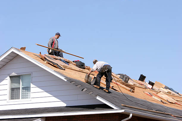Best Emergency Roof Repair  in Platte, SD